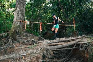 BIB: 
                            <button type="button" onclick="openModal(27302640)" class="btn btn-primary btn-sm float-right btn-popup" data-toggle="modal" data-target=".modal-high-quality">
                        <i class="fas fa-shopping-cart"></i> Add to Cart
                    </button>
                                            <button type="button" onclick="isThisMe(27302640, true)" class="btn btn-success btn-sm float-right btn-popup btn-isme hidden" data-toggle="tooltip" data-placement="bottom" title="นี่คือรูปของคุณใช่ไหม คลิกที่นี่เพื่อเอาเข้าอัลบั้ม">
                        <i class="fas fa-plus"></i> Add to album
                    </button>
                    <button type="button" onclick="isThisMe(27302640, false)" class="btn btn-warning btn-sm float-right btn-popup btn-isnotme hidden">
                        <i class="fas fa-ban"></i> Remove from album
                    </button>